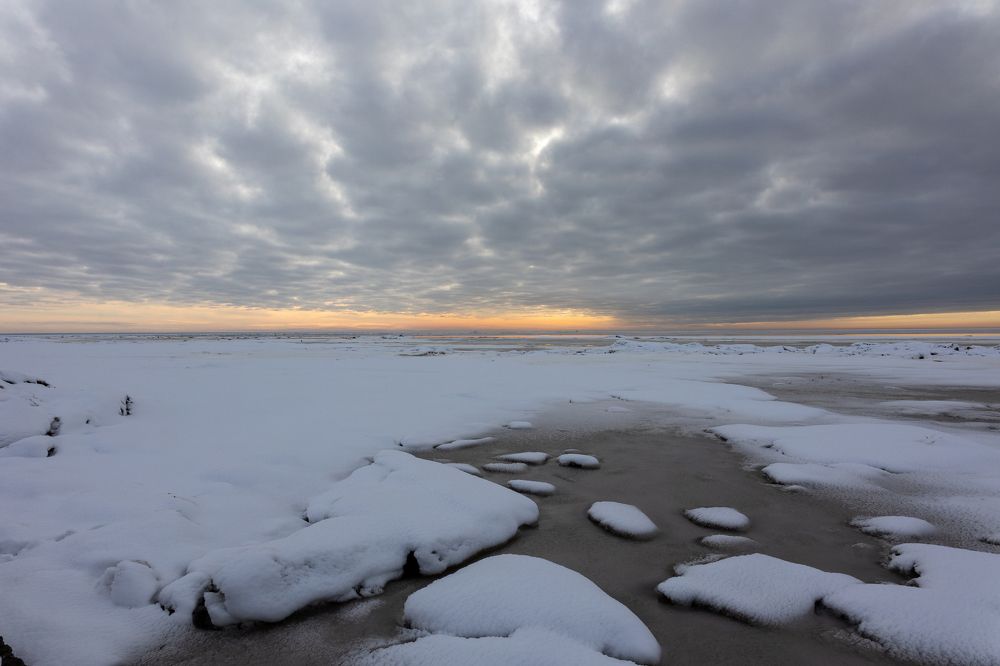Photograph by Mārtiņš Babris