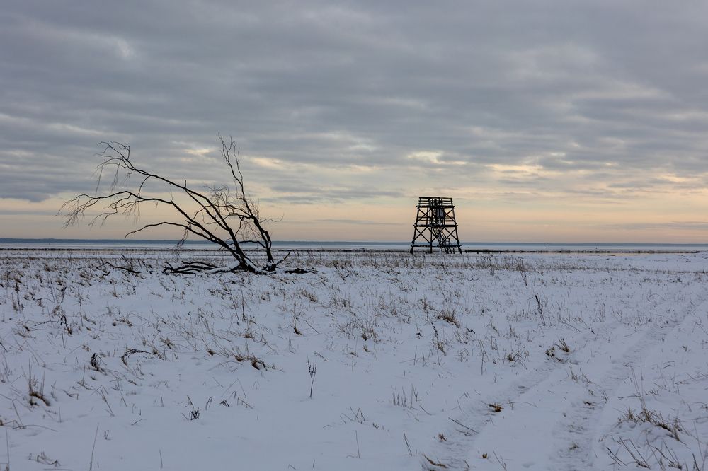 Photograph by Mārtiņš Babris