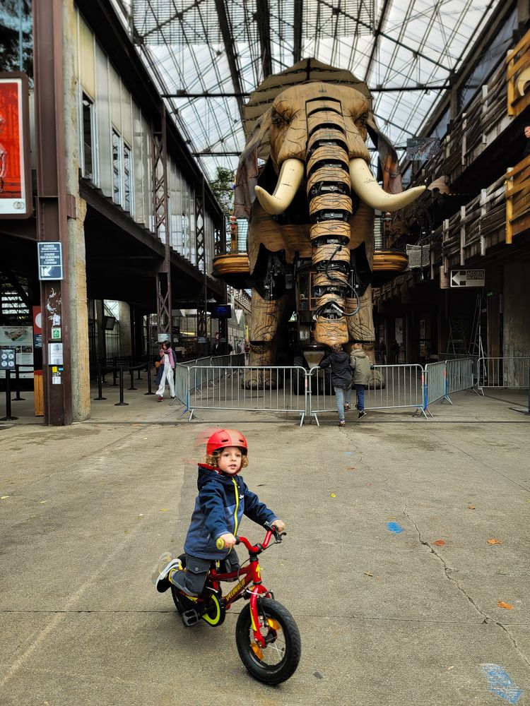 Photograph by Zeynep Aybüke Mutlu