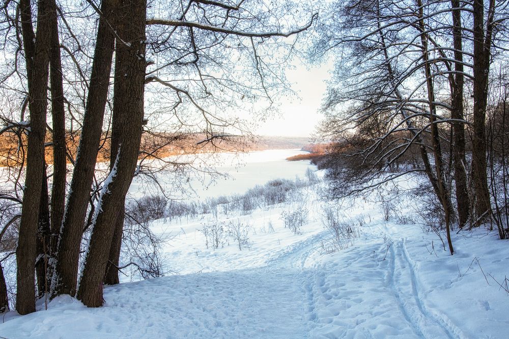 Фотография автора Алексей Карташов