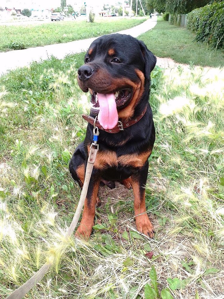 Photograph by Юлия Жулидова