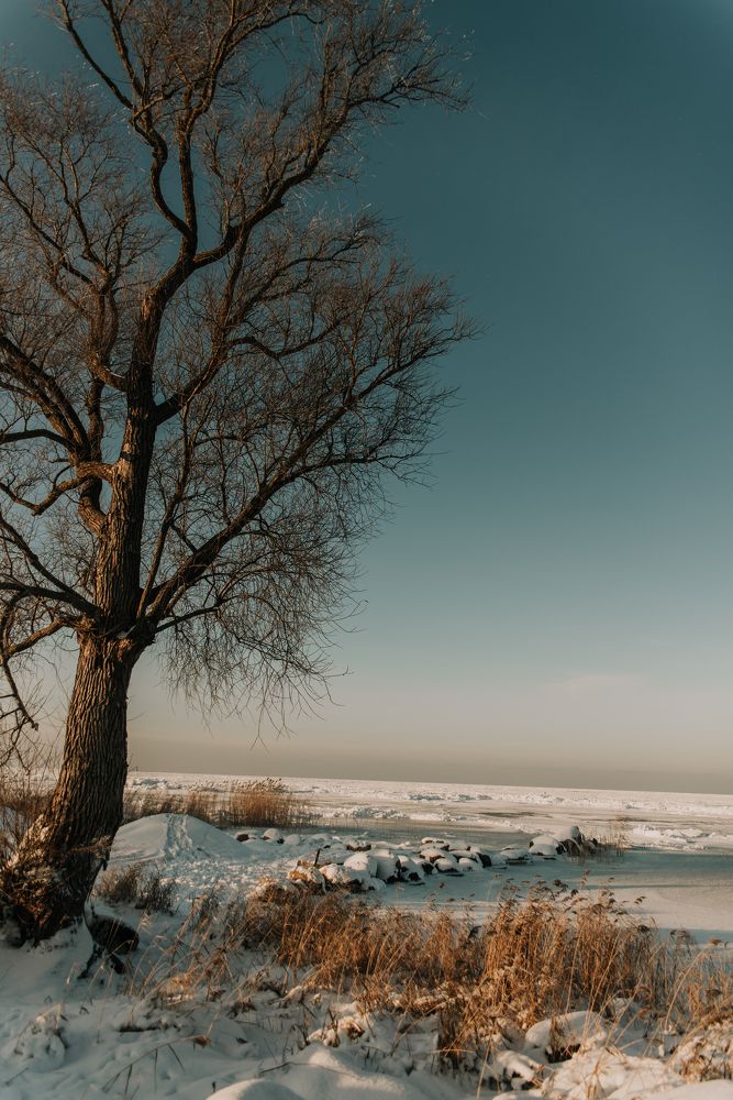 Photograph by Надежда Рязанцева