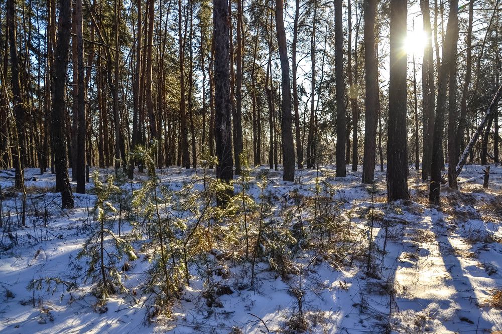 Photograph by Андрей Епишев