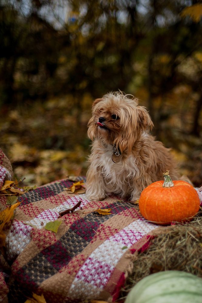 Photograph by Анастасия Дмитриева