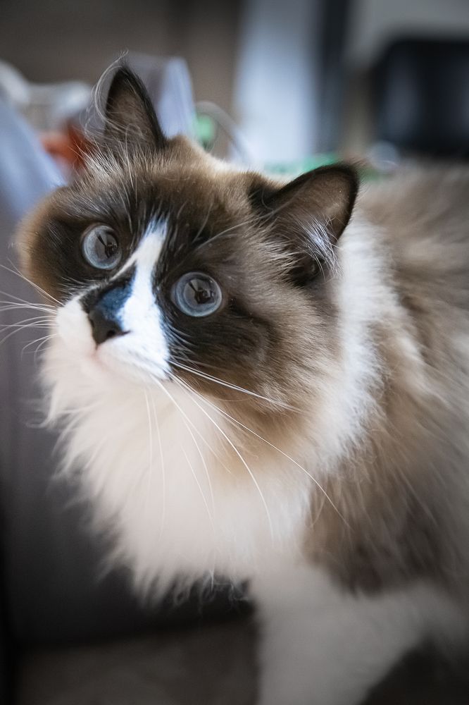 Photograph by Надежда Кузнецова