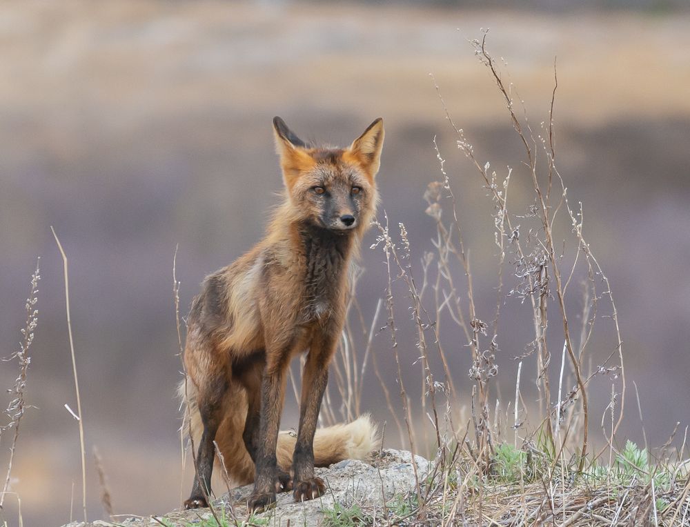 Photograph by Владимир