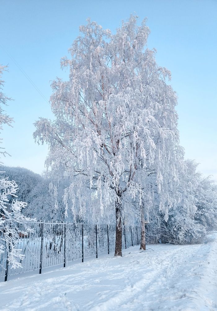 Фотография автора Ekaterina Sapezhinskaya