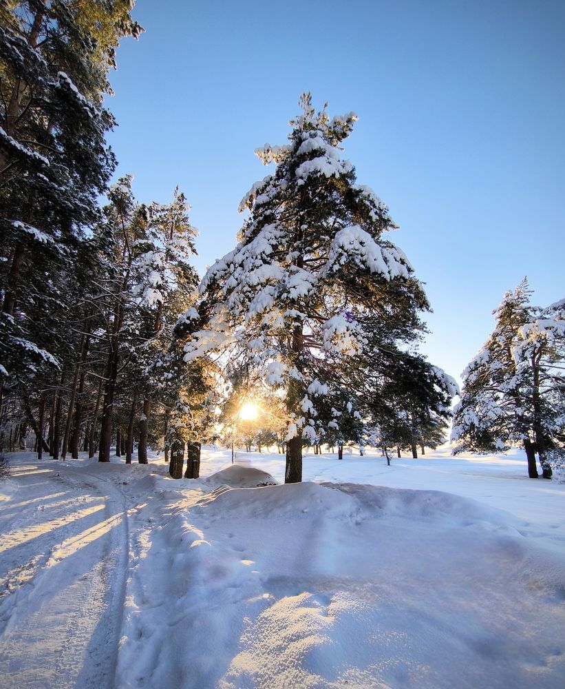 Фотография автора Ekaterina Sapezhinskaya