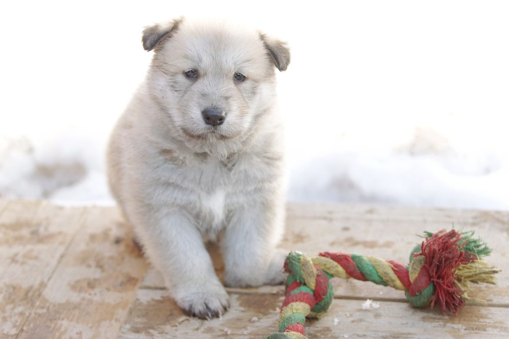 Photograph by Иван