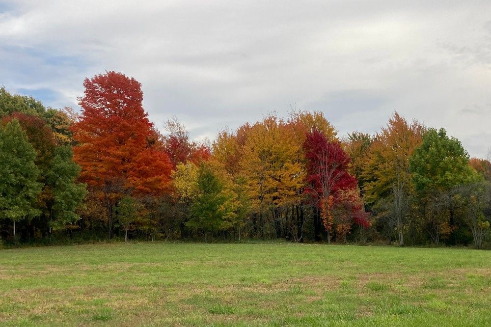 Mother Nature’s Pallet of Colors
