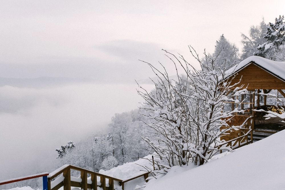 Фотография автора Nadezhda