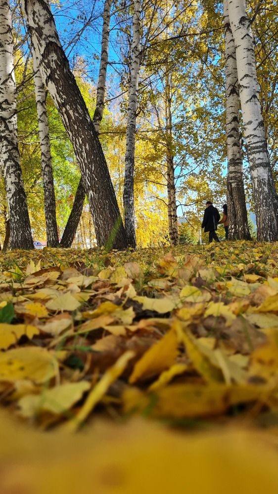 Photograph by Евгения