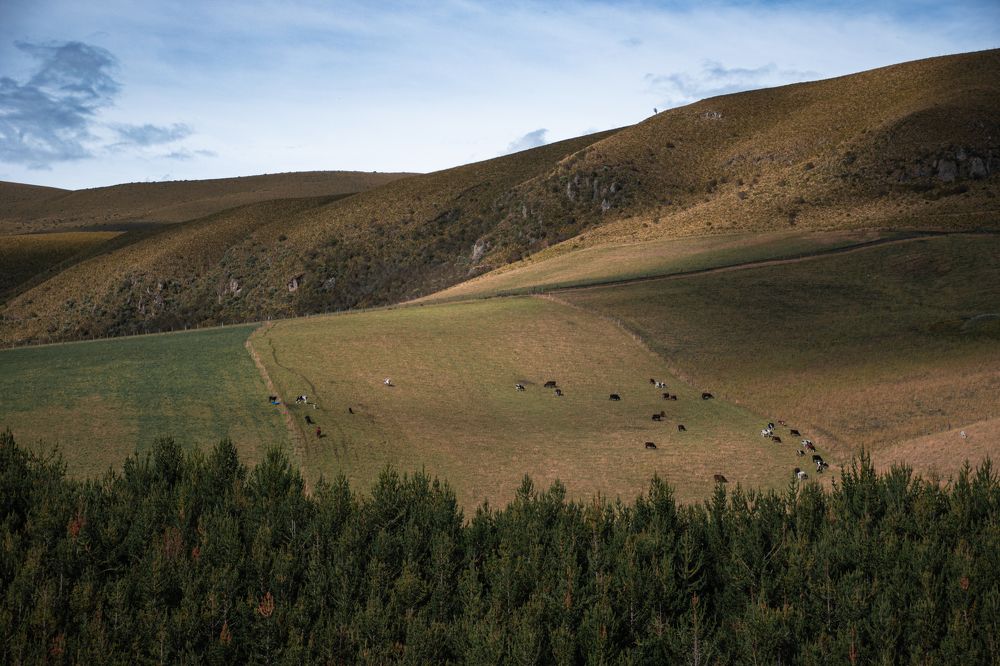 Photograph by Susie Castellano