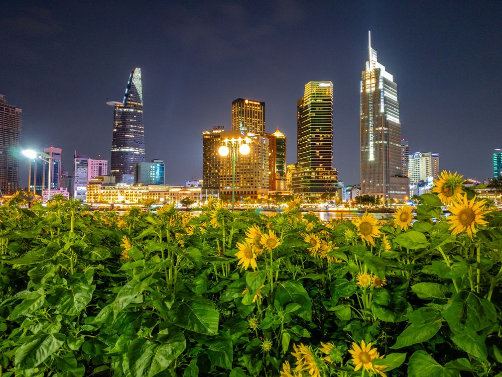 Photograph by Anh Kiet Hoang