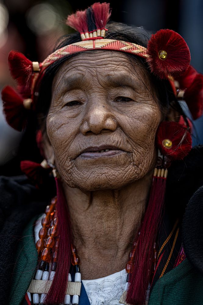 Photograph by SOJAN P SAMUEL