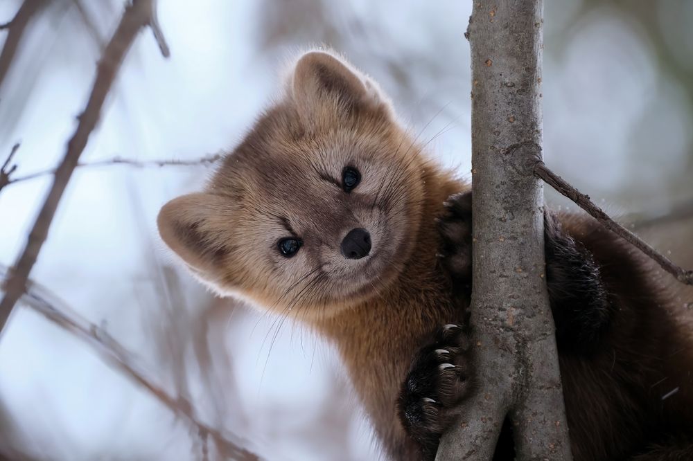 Photograph by Багурский Алексей