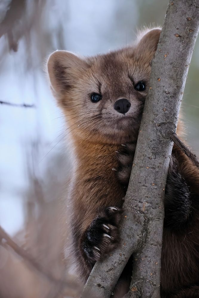 Photograph by Багурский Алексей