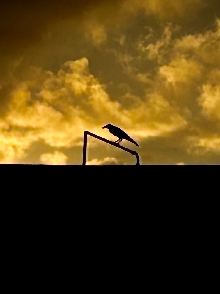 Photograph by Aaron R S