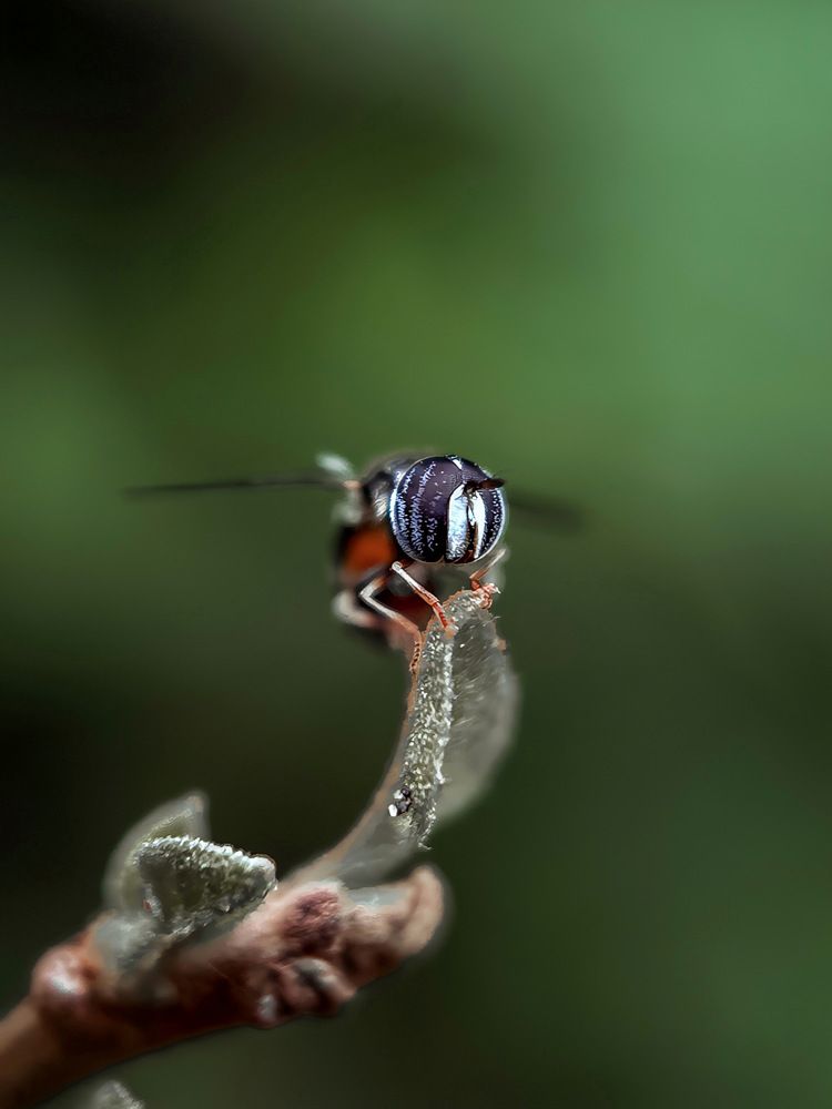 Photograph by Aaron R S