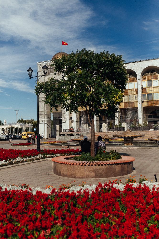 Photograph by Алена Полищук