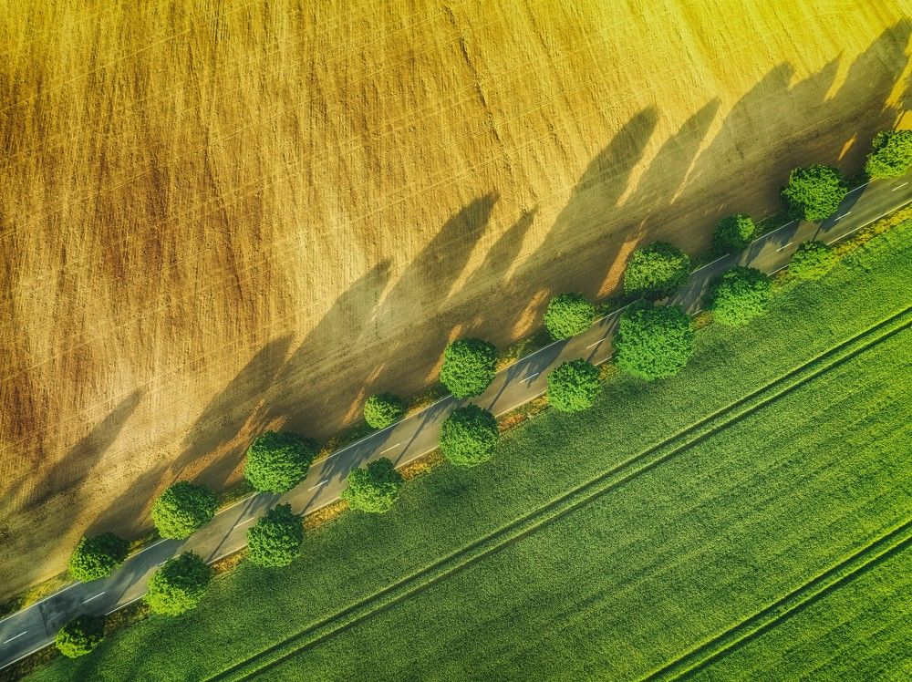 Photograph by Guy Krier