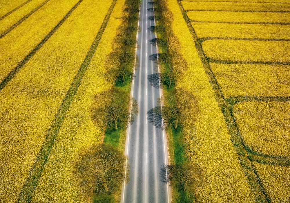 Photograph by Guy Krier