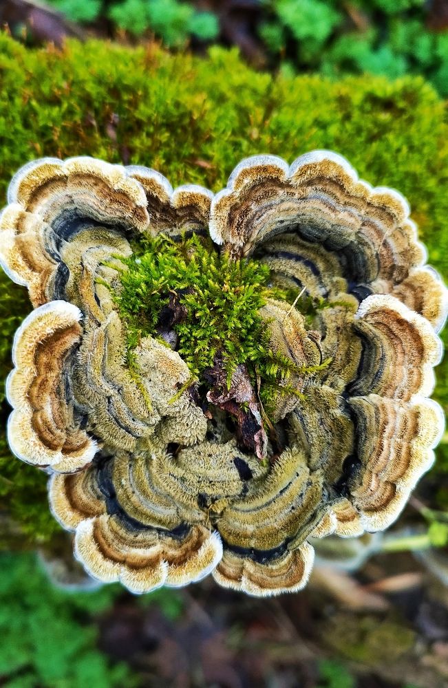 Photograph by Карина Дудатьева