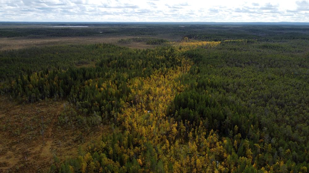 Photograph by Михаил Рассказ