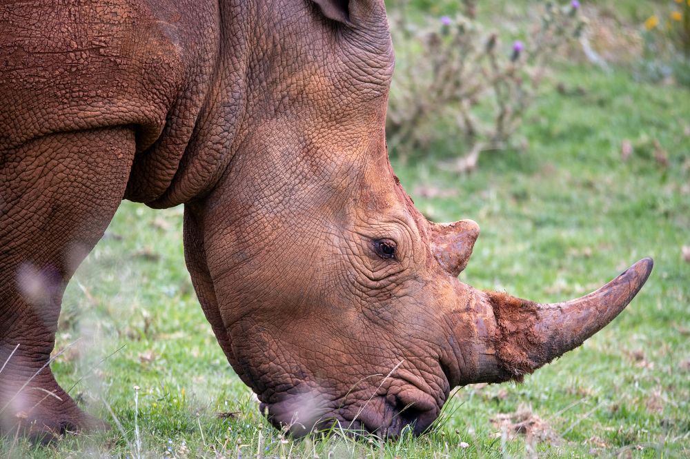 Photograph by Raquel de Castro Maia