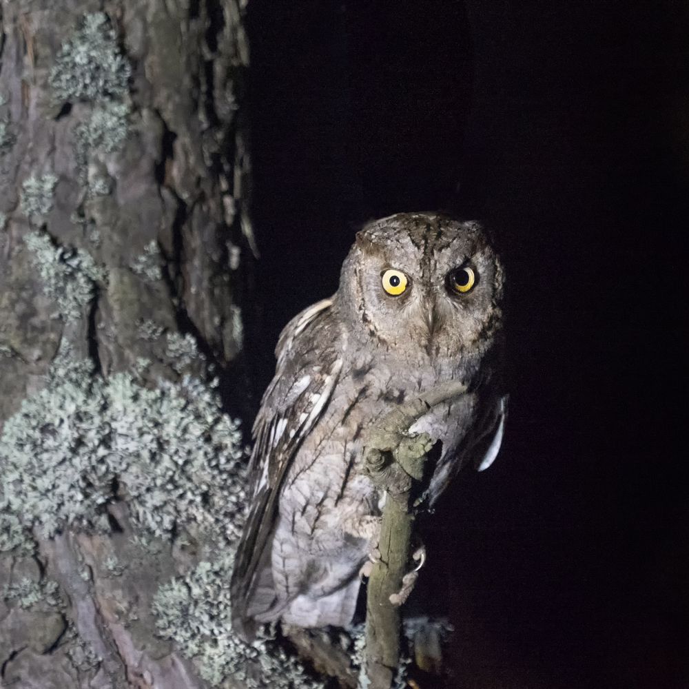 Photograph by Ольга Католичук