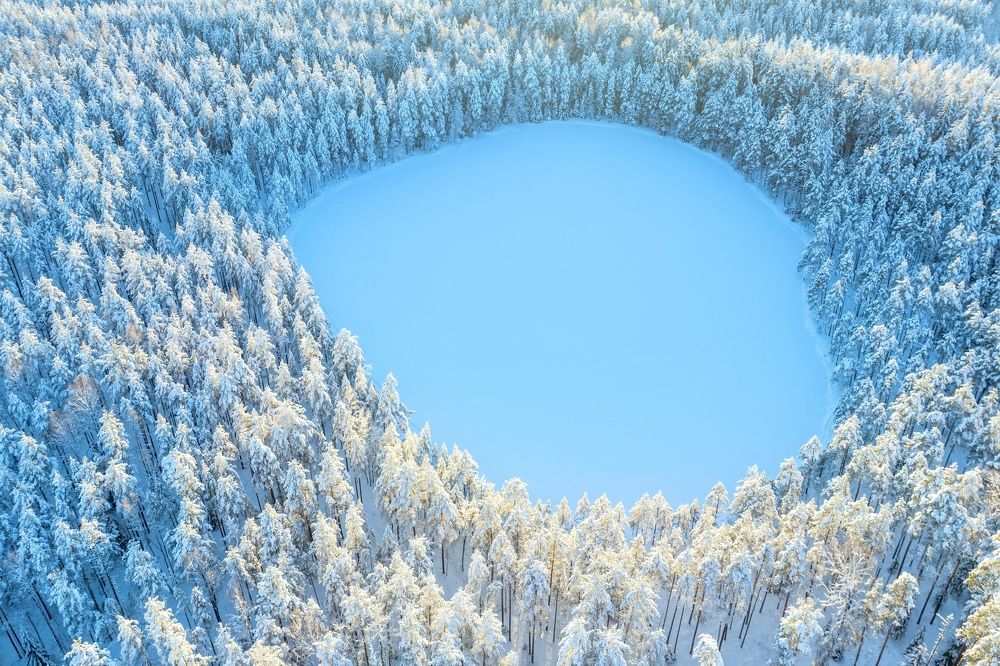 Photograph by Максим Григорьев