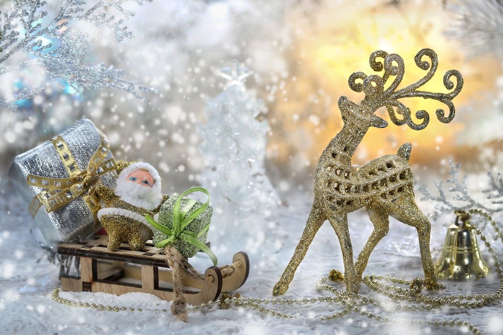 Photograph by Шруб (Беляева) Татьяна