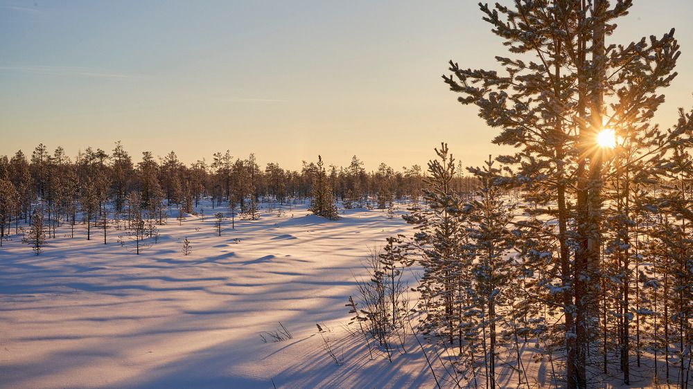 Photograph by Александр Клюев