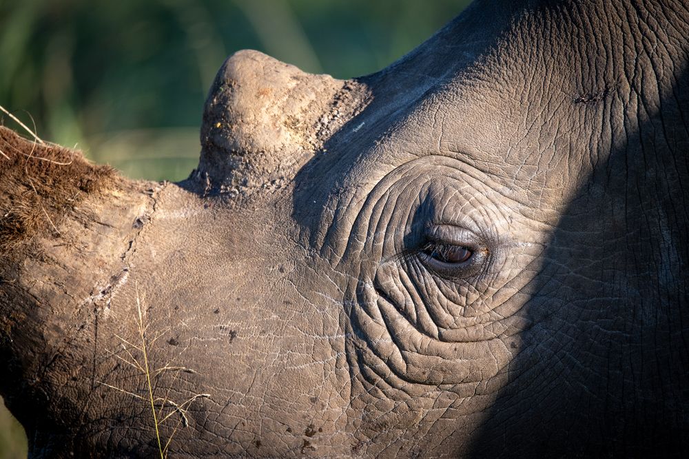 Photograph by Raquel de Castro Maia