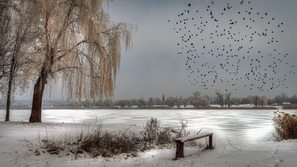 Photograph by Сергей Епишев