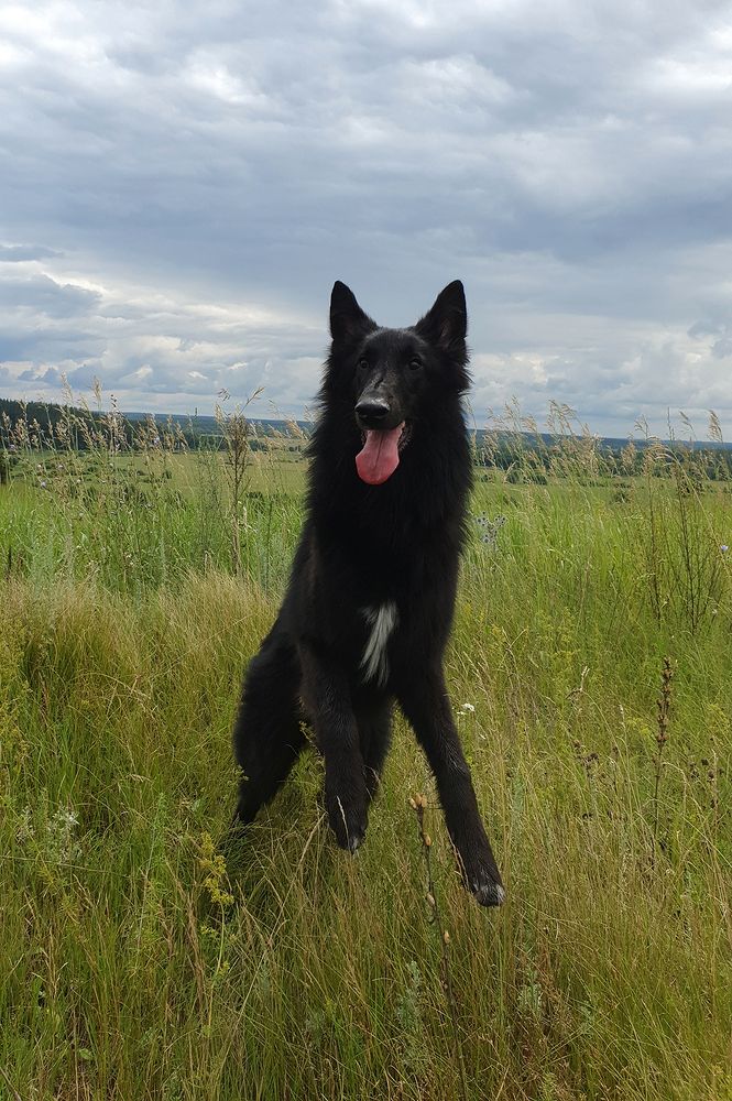 Фотография автора Надежда Лисицына