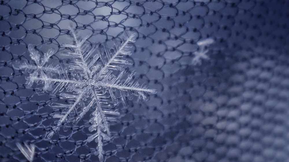 Photograph by Елена Силантьева