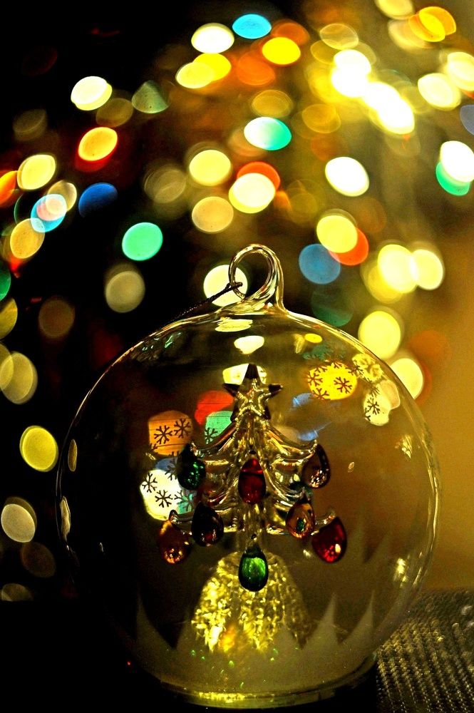 Фотография автора Дарья Васильева