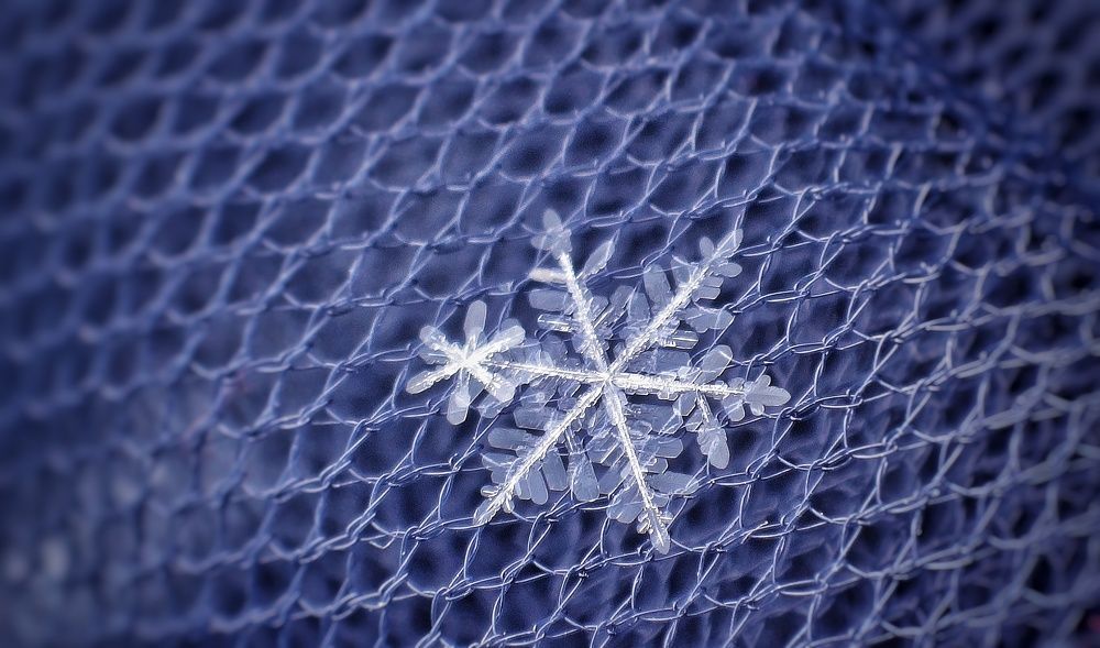 Photograph by Елена Силантьева