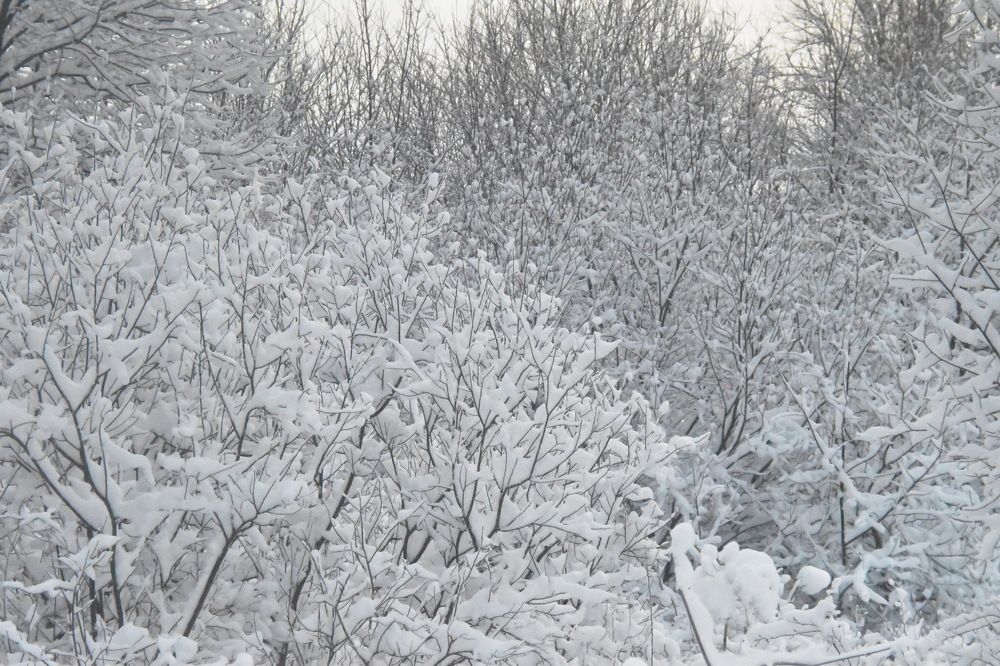 Где-то за рекой