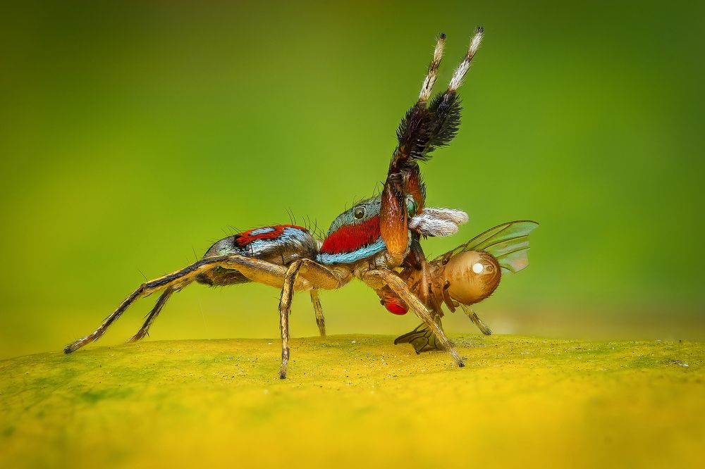 Photograph by Tinh Dang thanh