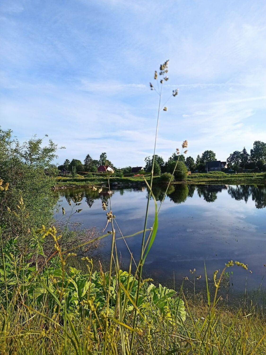 Photo #10075572