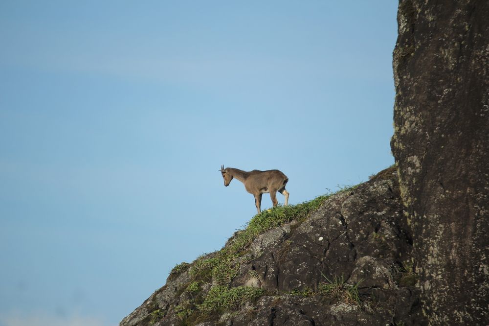 Photograph by kodeeswaran