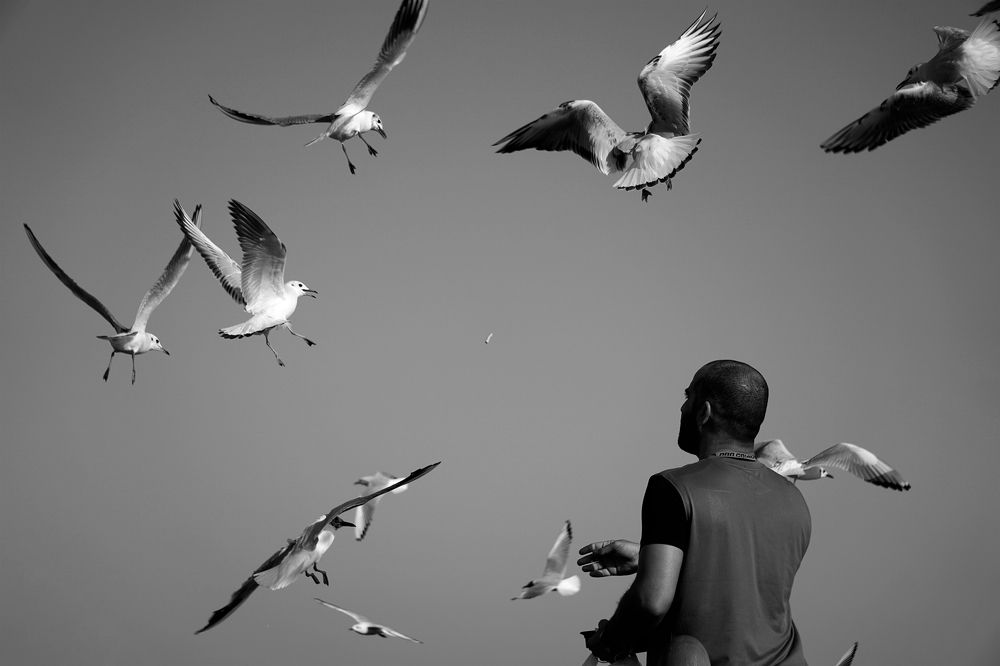 Photograph by Mohamad Al Dabbas