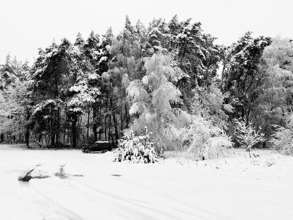 Photograph by Анатолий Люкевич