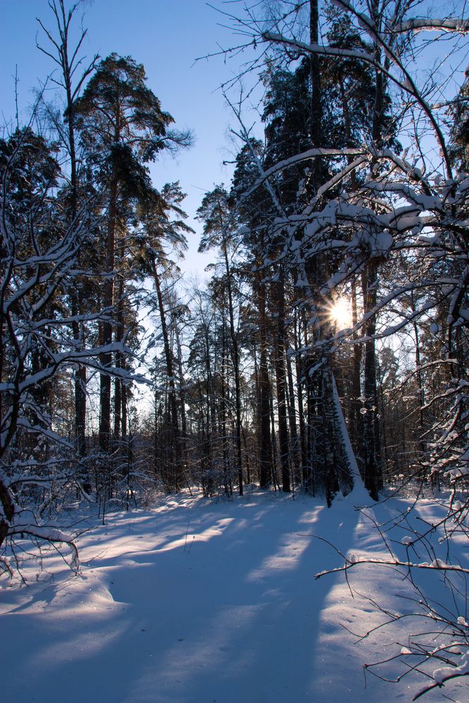 Photograph by Рашид Сафиуллин