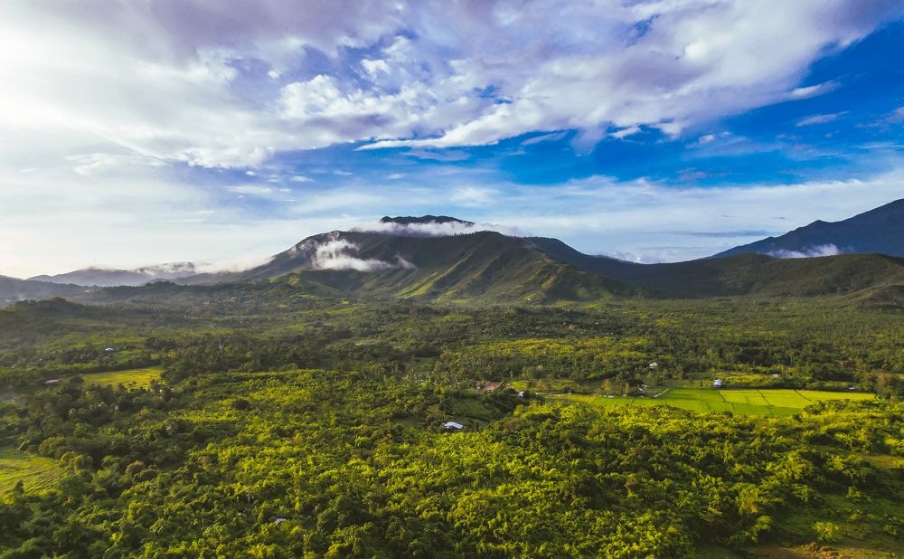 Photograph by Sevedeo Borda III