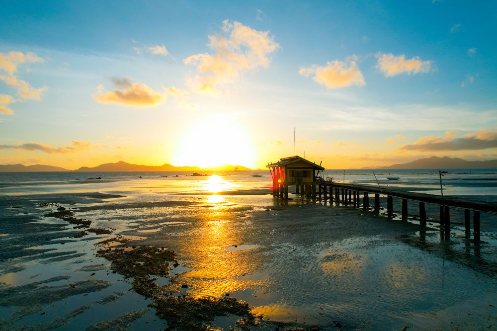 Photograph by Sevedeo Borda III