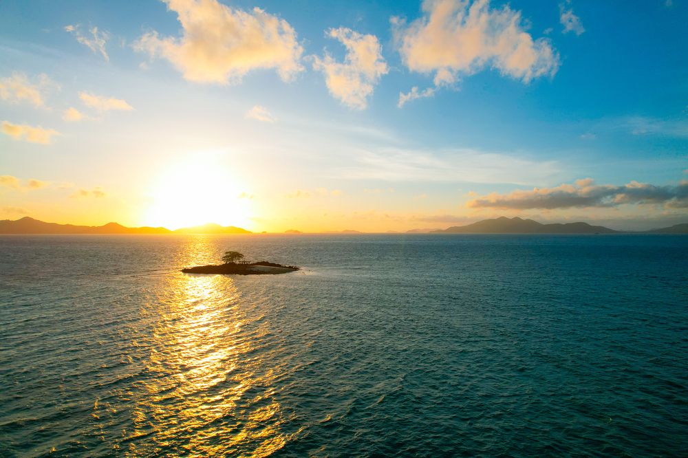 Photograph by Sevedeo Borda III