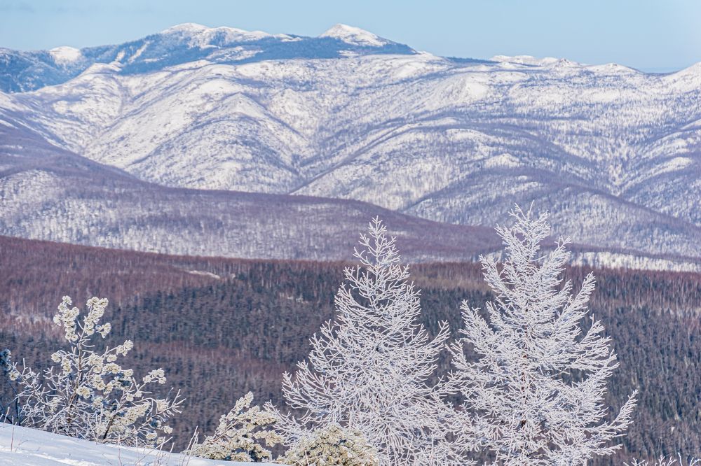 Photograph by Irina Luidinshina